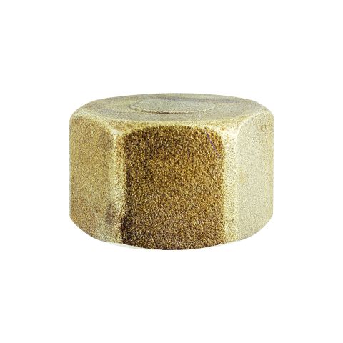 Plugg invändig gänga 2"