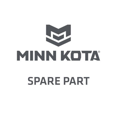 O-RING-CASE SEAL